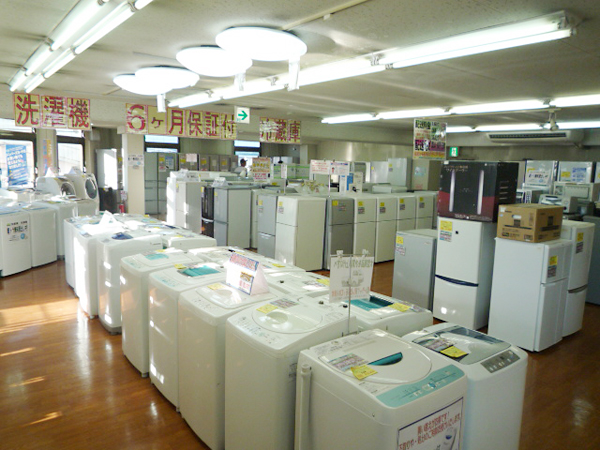 �ȥ쥸�㡼�ե����ȥ꡼ή��