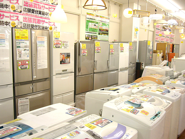 ����Ź Photo4
