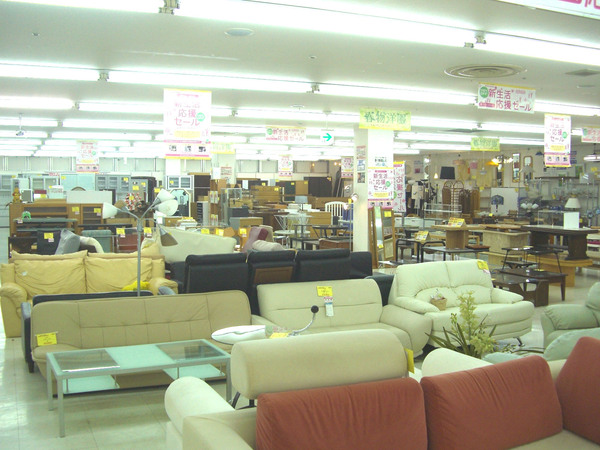 �ȥ쥸�㡼�ե����ȥ꡼��� 