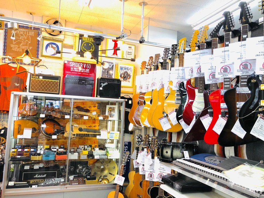 Gibson 50s Les Paul Standard - Honey Burst | White Guitars