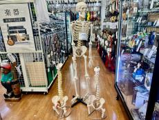 トレファク足立西新井店ブログ