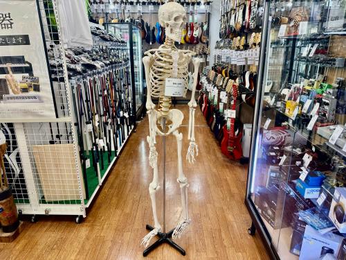 トレファクブログ画像2