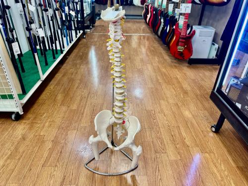 トレファクブログ画像4