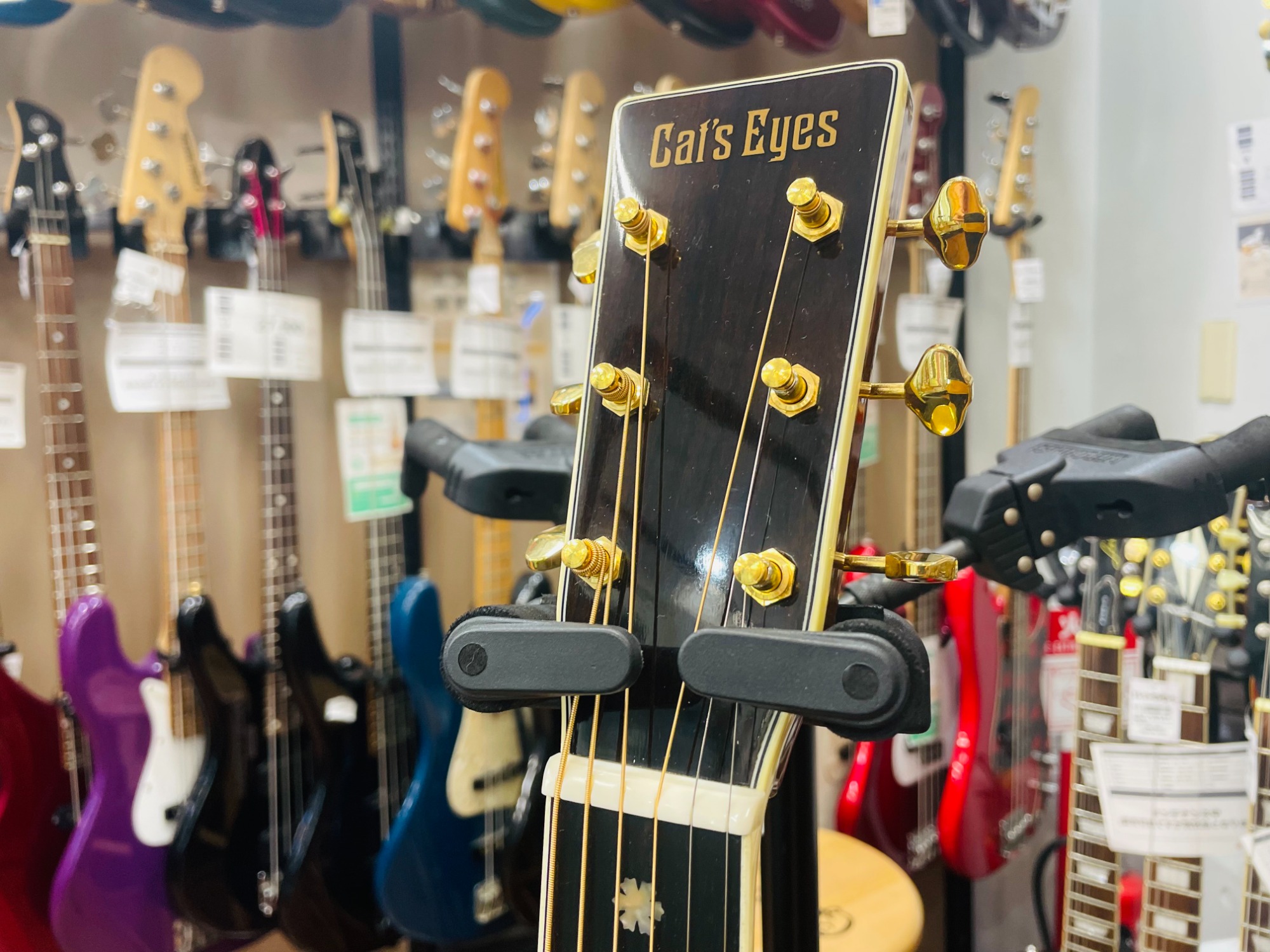 Cat'sEyesCE136T-ZEAが入荷いたしました！！｜2025年12月16日