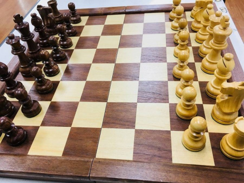 ホビーのおもちゃ