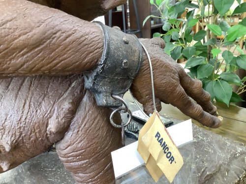 22年05月11日：画像８