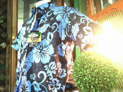 シャツのSchott