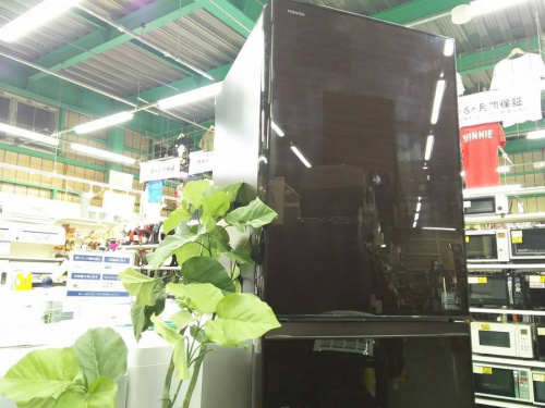 生活家電・家事家電の冷蔵庫