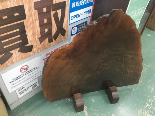 キツツキの飛騨