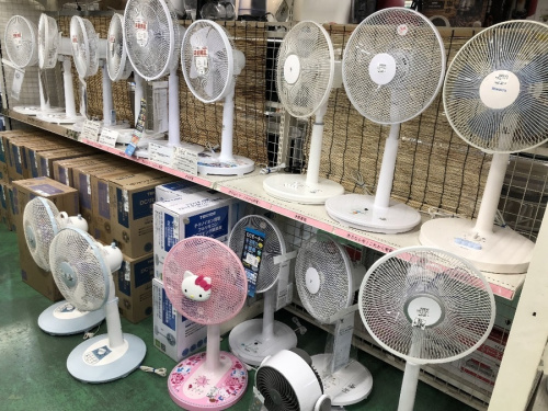埼玉の扇風機