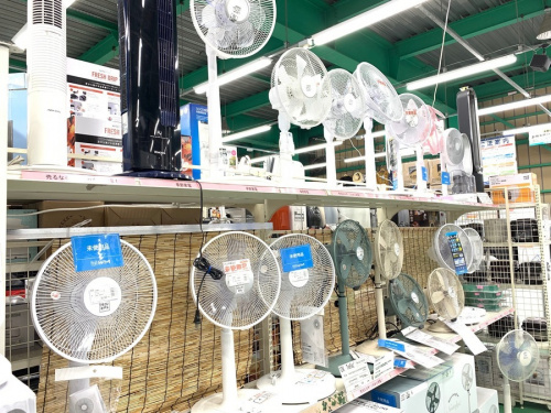 季節家電の扇風機