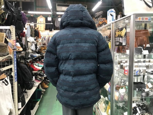ダウンジャケットのTHE NORTH FACE