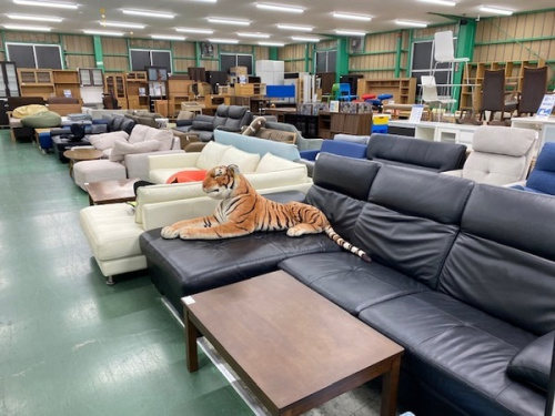 21年11月20日：画像１０