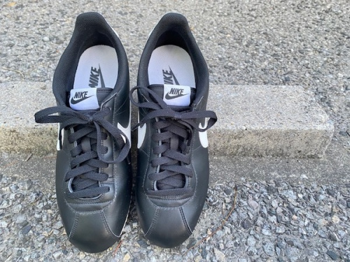 AIR JORDANのREEBOK