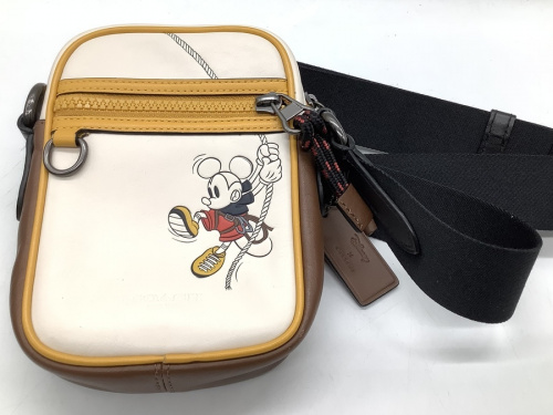 Disneyのバッグ
