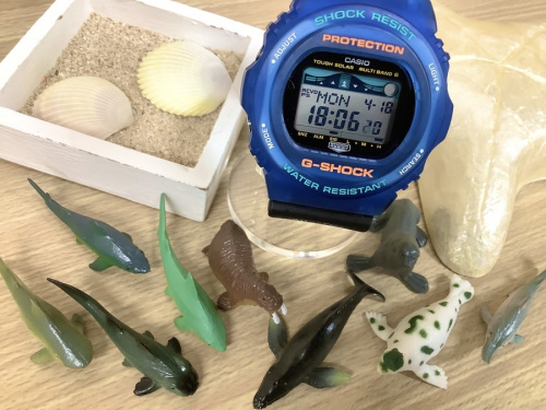 腕時計のCASIO
