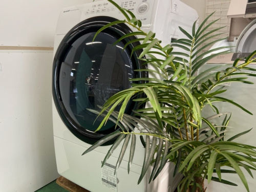 生活家電の洗濯機