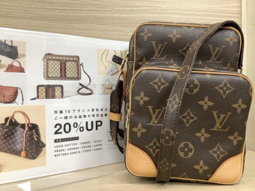 バッグのLOUIS VUITTON
