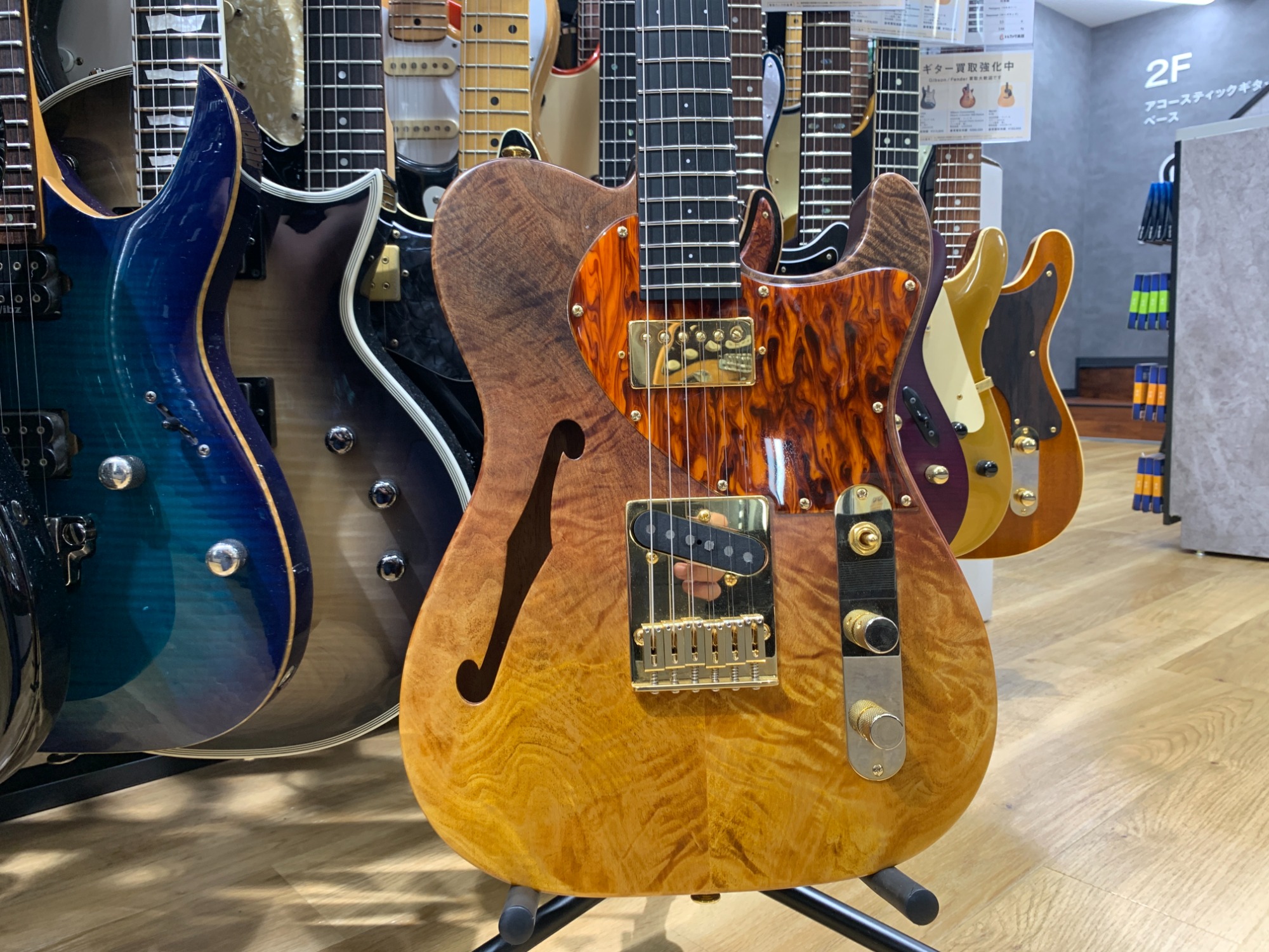 Momose MT-LTD/FT/HOLLOW】楽器吉祥寺店スタッフ押しの一本をご