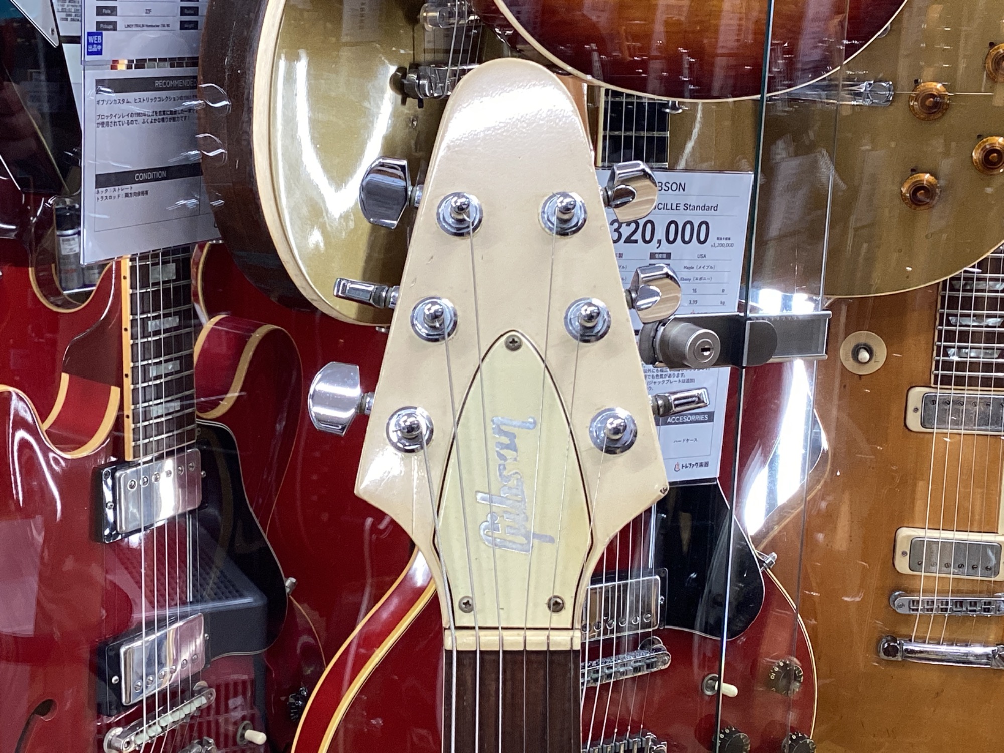 マイケル 様 ラインストーンスニーカー （スニーカー）｜STEVE MADDEN