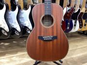 Takamine(タカミネ)アコースティックギター(TSN500)のご紹介！｜2022年