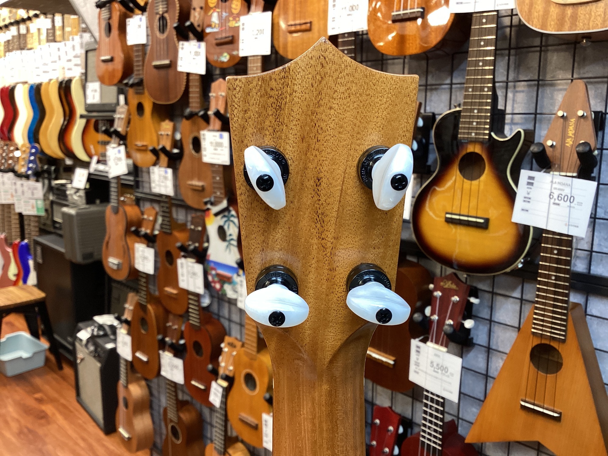 本場南国の音色】KAMAKA ソプラノウクレレ HF-1 をご紹介！｜2025年10