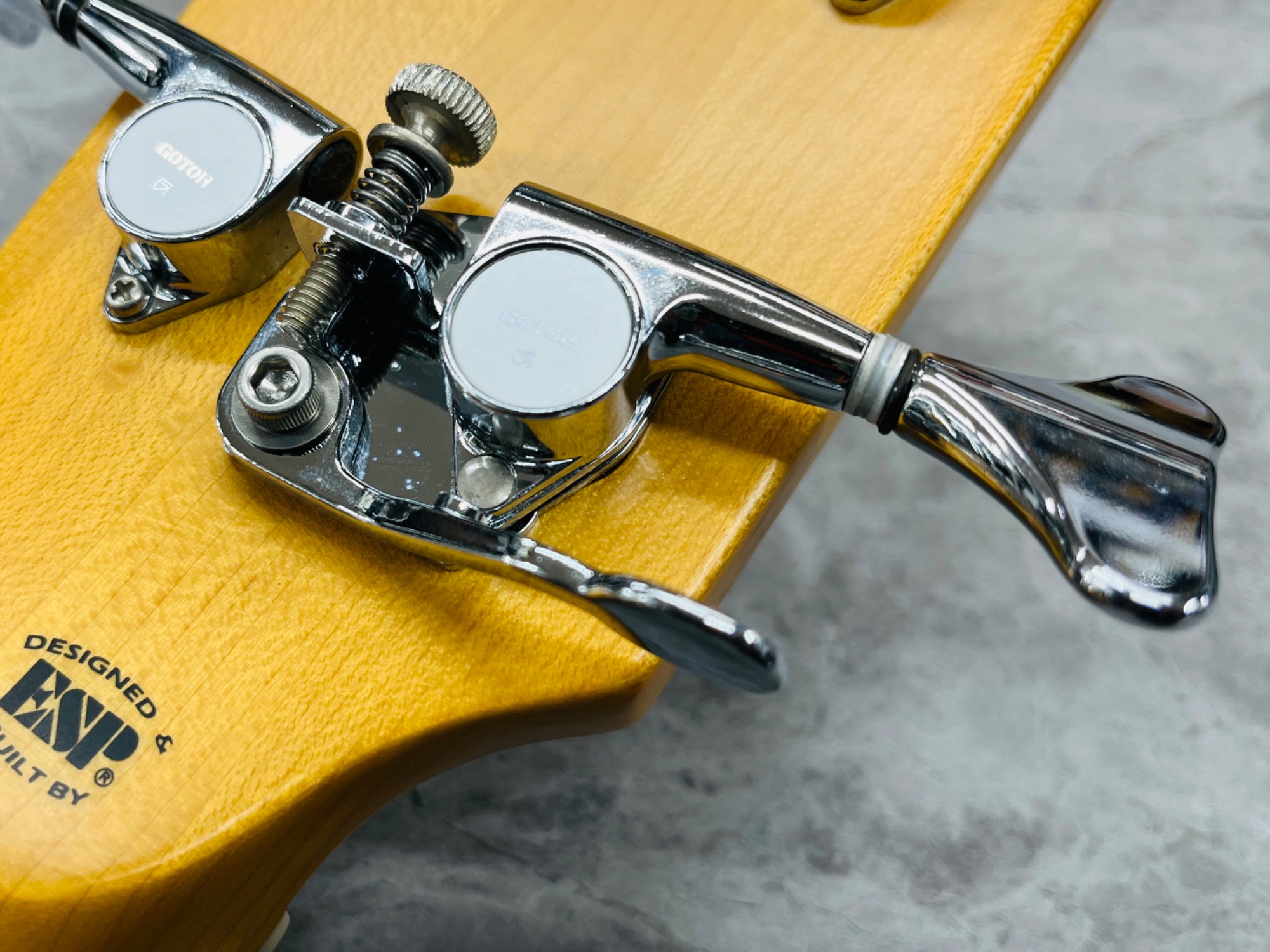 ハイスタ】EDWARDS E-GARAGE Hi-STANDARD Akihiro Nambaモデルのご紹介