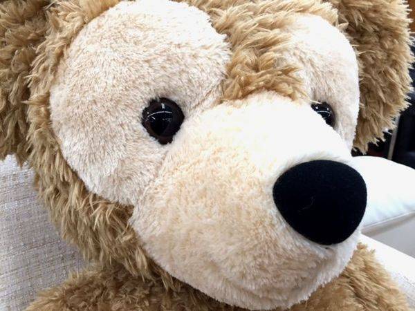 特大ダッフィー♪【相模原店】｜2016年07月20日｜リサイクルショップ