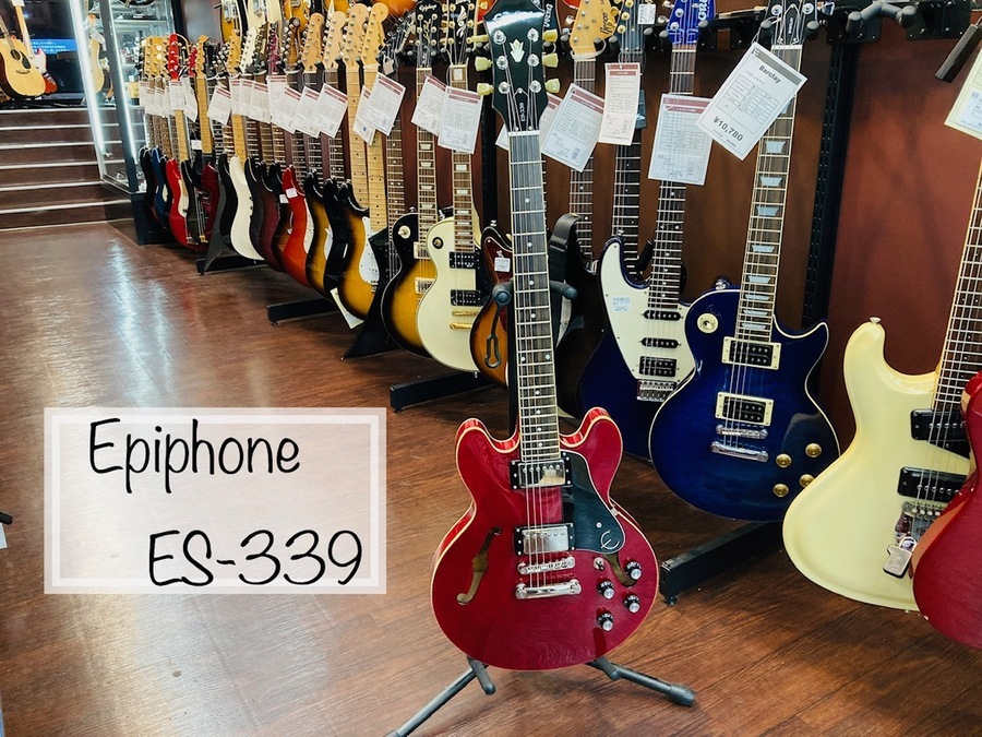 買取キャンペーン中！エピフォンのES-339入荷！【相模原店】｜2021年10