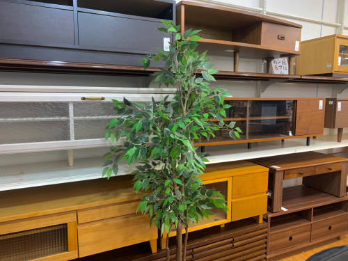 トレファクブログ画像8