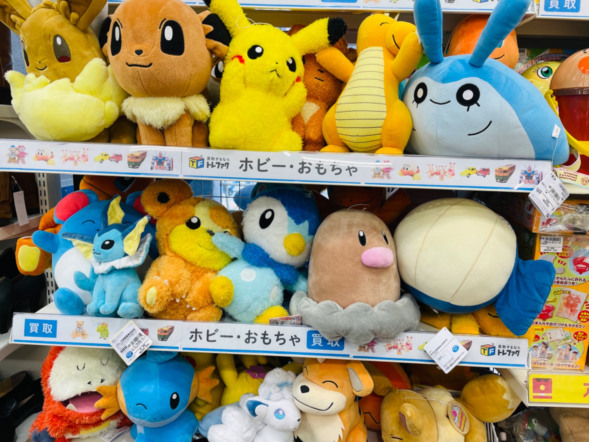 ホビー買取強化中】ポケモンカード ルチア 104/096 SR PSA9 を買取入荷