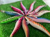 トレファク相模原店ブログ