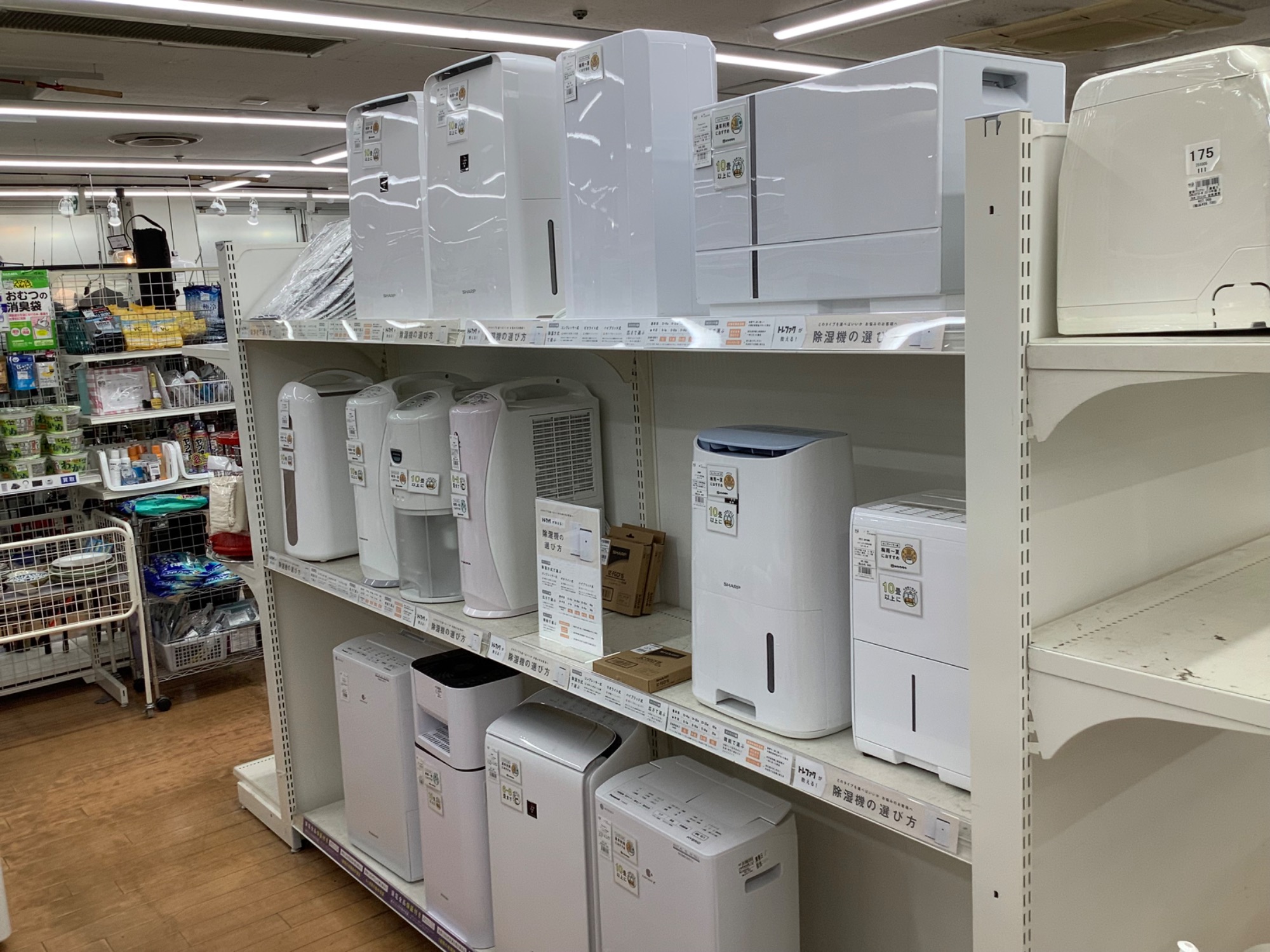 夏モノ家電多数展示中】加湿空気清浄機：SHARP：2025年製：KC-S50W-W
