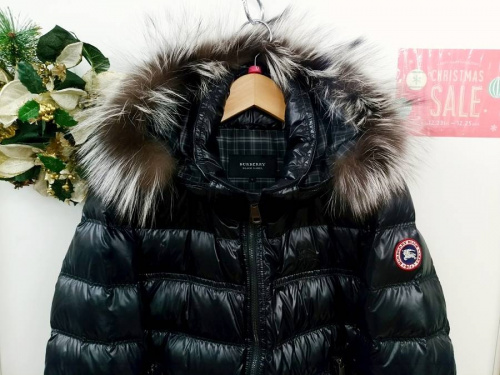 相模原のカナダグース(CANADA GOOSE)
