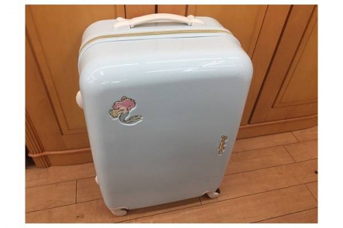 レディースファッションのキャリーバッグ
