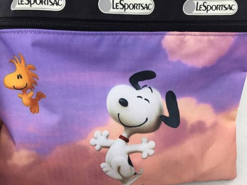 ¥¹¥Ì¡¼¥Ô¡¼¤ÎÁêÌϸ¶