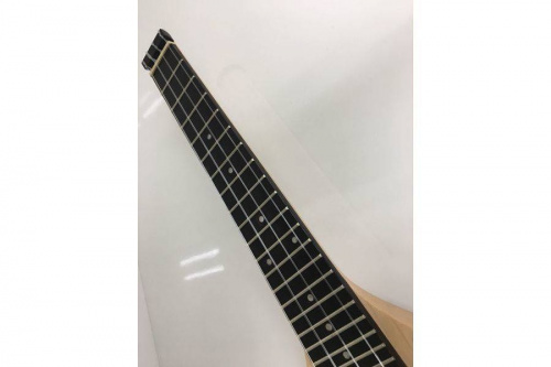 TRAVELER　GUITARの相模原