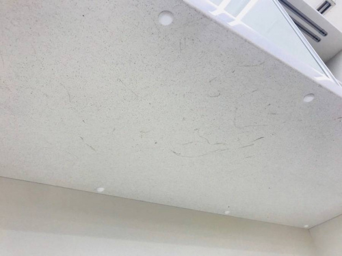 18年08月25日：画像６