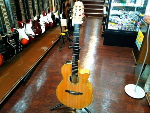 ギターのエレアコギター