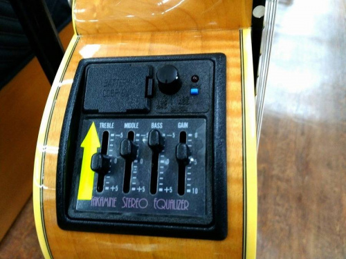 エレアコギターのTakamine