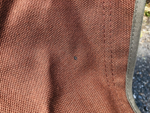 19年03月14日：画像６