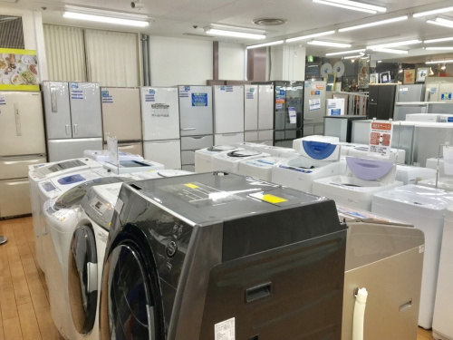 19年04月11日：画像６