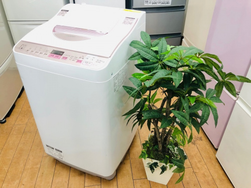 生活家電の洗濯機