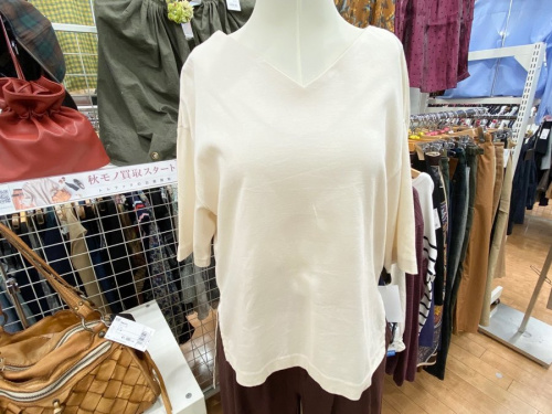 トップス 秋服のカットソー