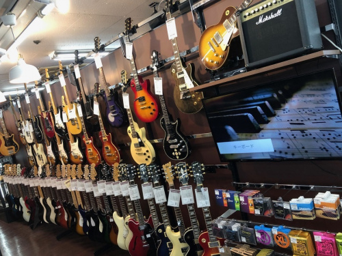 フェンダー取り扱い強化店