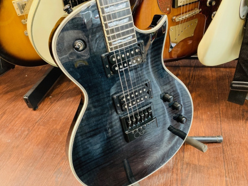 相模原楽器屋のLTD 中古
