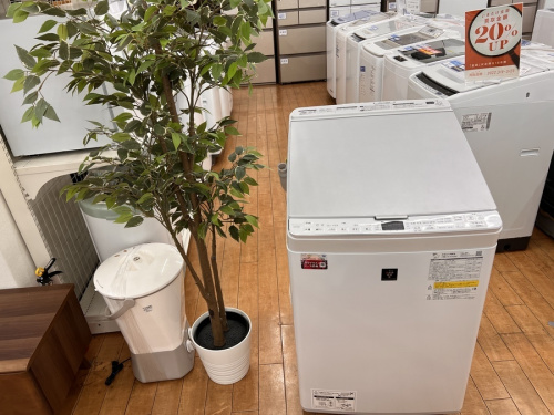 生活家電の洗濯機