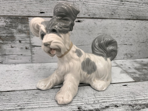 犬のトレファク相模原