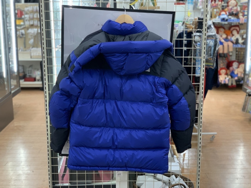 アウトドアのTHE NORTH FACE