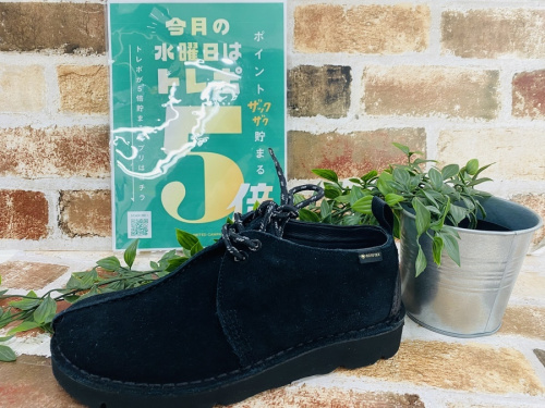 トレポ5倍のシューズ